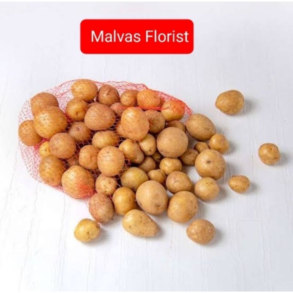 

kentang mini segar JK 500gr - 1kg untuk rendang dan siomay