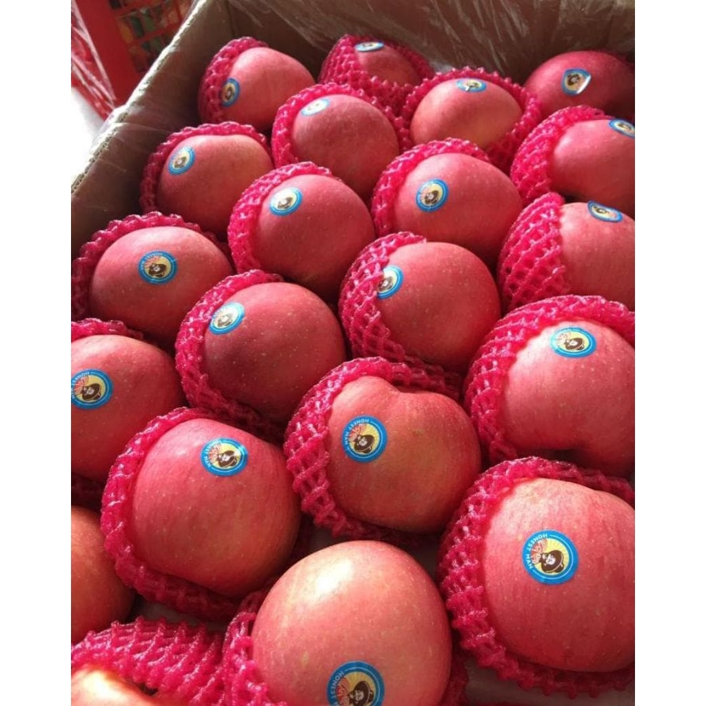 

apel fuji honestmen/kg