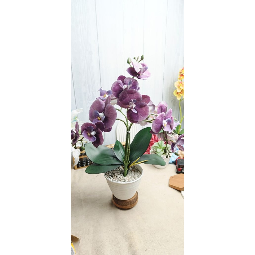 Anggrek Latex 5 Cabang dalam Pot Cantik Kekinian untuk Dekorasi Rumah Dekorasi Kantor Dekorasi Meja 