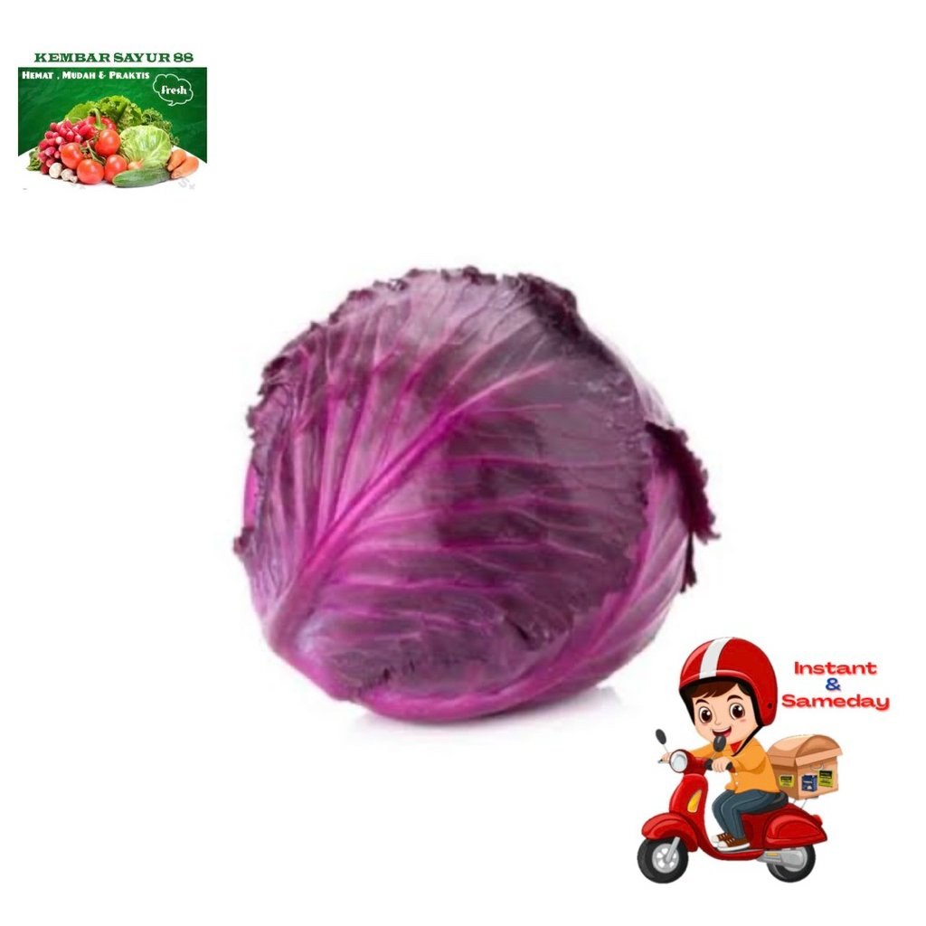 

Kol Ungu Premium 250gr / 350gr - Kembarsayur88