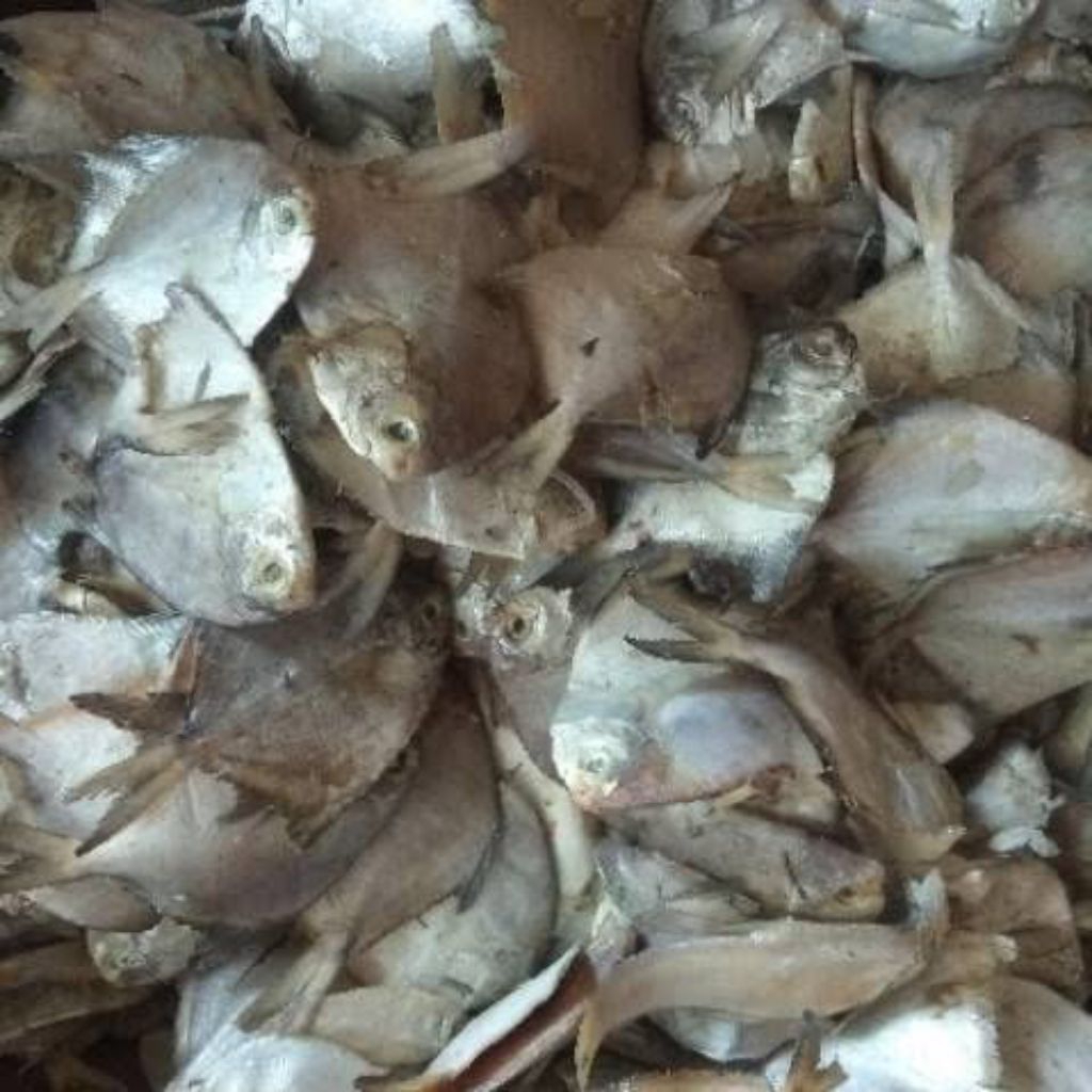 

Ikan Asin Bawal (Seafood Kering)