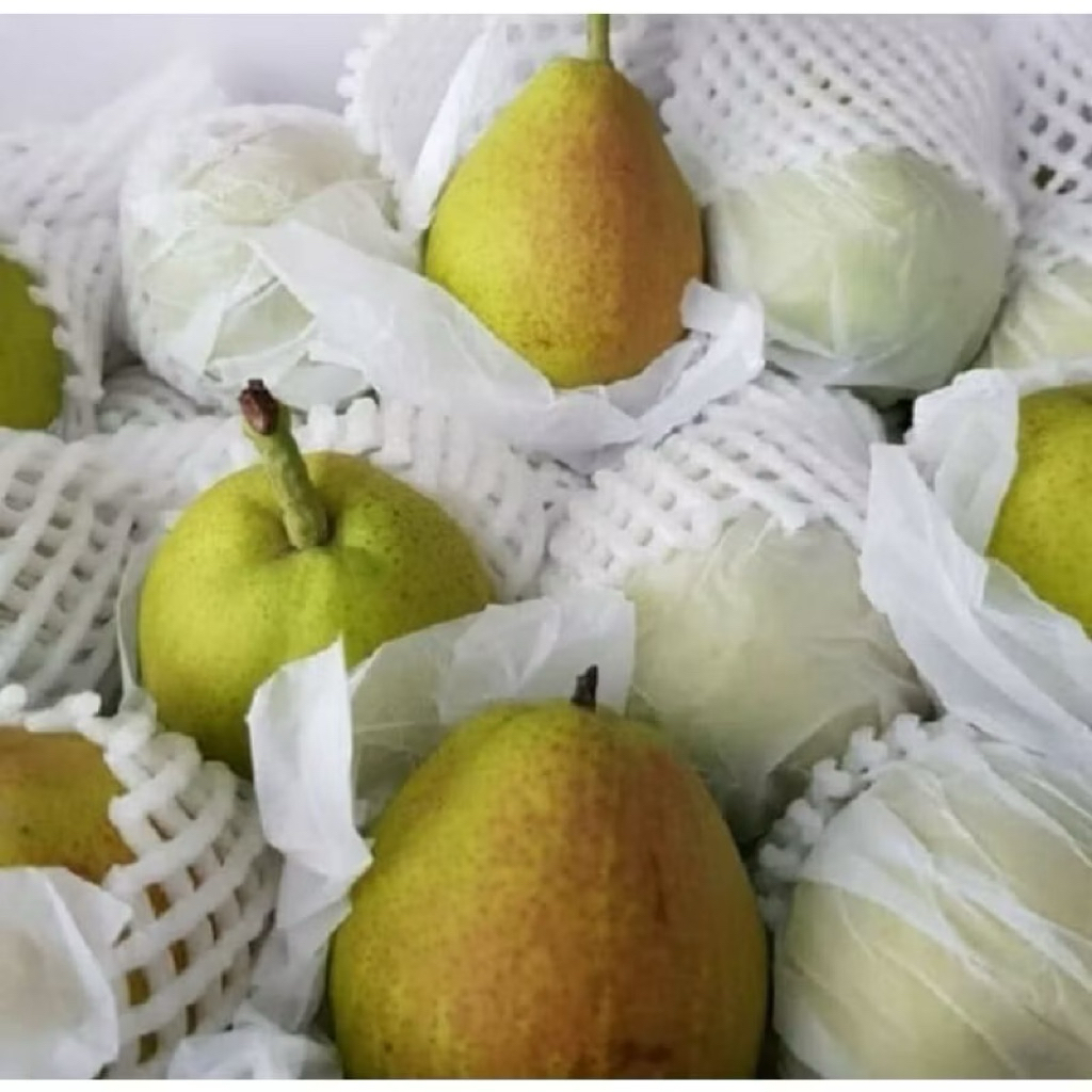 

Pear Xianglie Super | Pear Xianglie Import Fresh 1kg