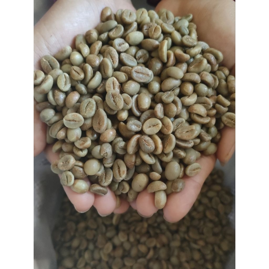 

harga grosir 3 kg Fine Robusta greenbean asli Temanggung
