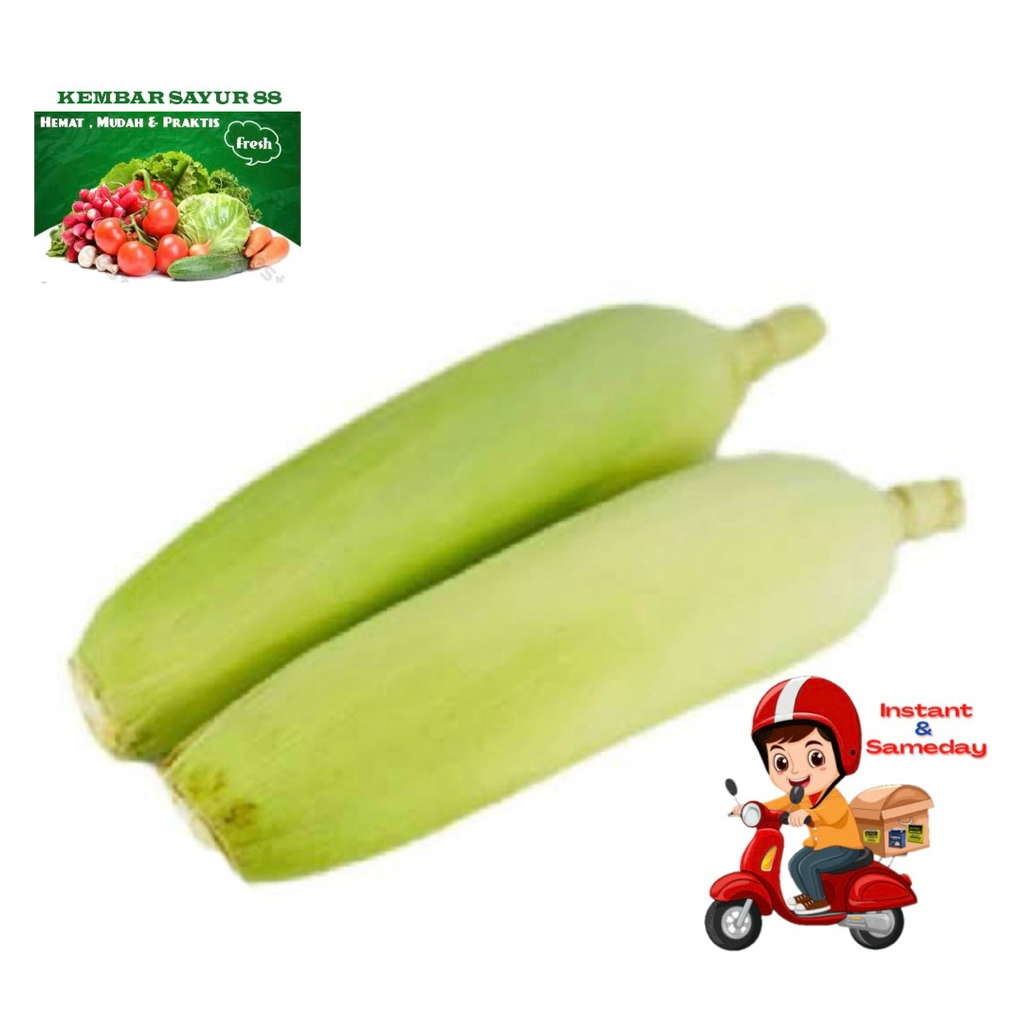 

Jagung Manis Utuh - Kembarsayur88
