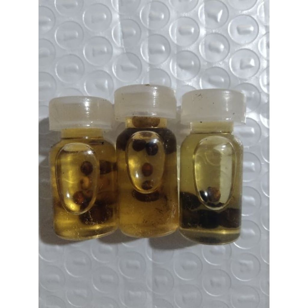 

herbal alam minyak merica