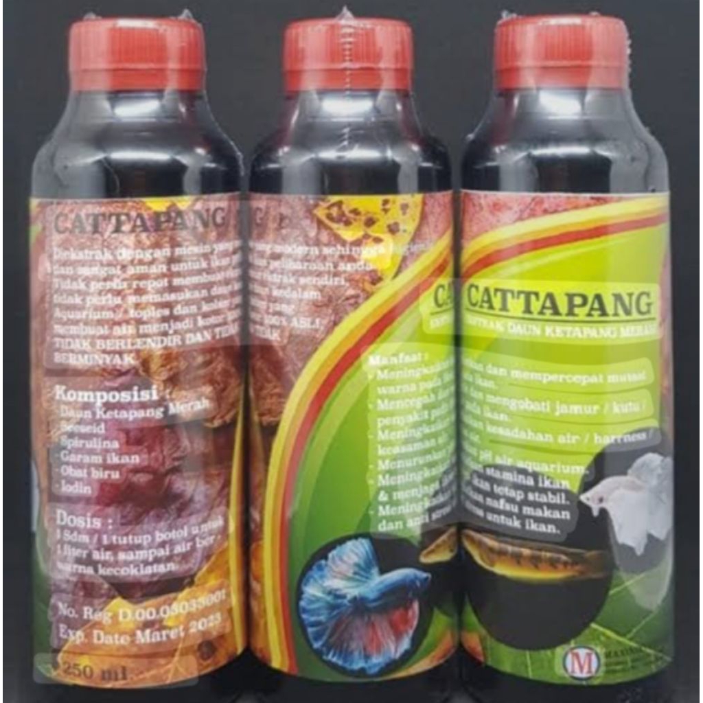 cairan extrax Ketapang Canna limbata sz 3 4 cm