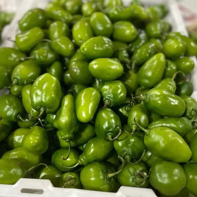 

Cabai Gendot Segar 1kg asli petani ciwiey