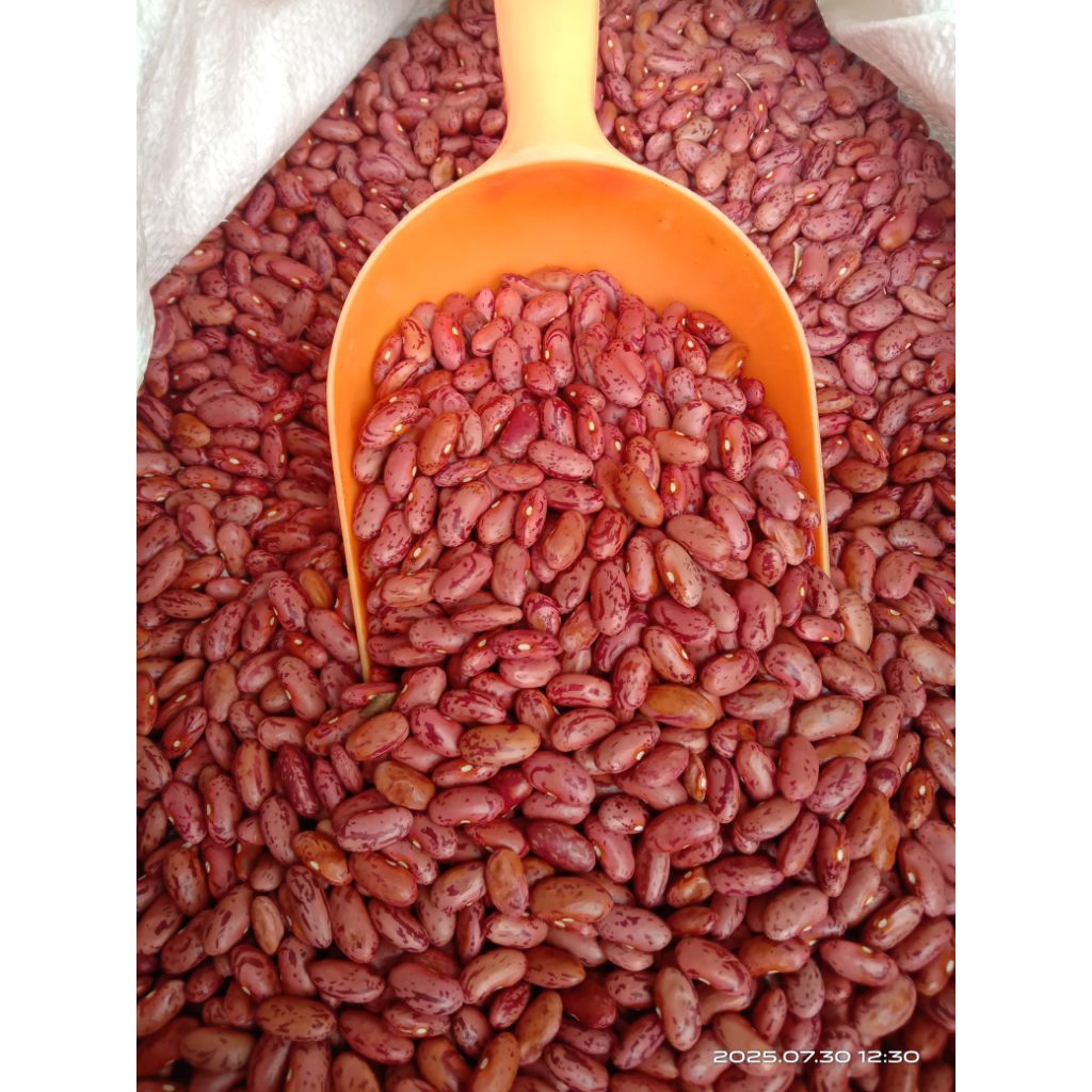 

kacang brenebon,es,senerek