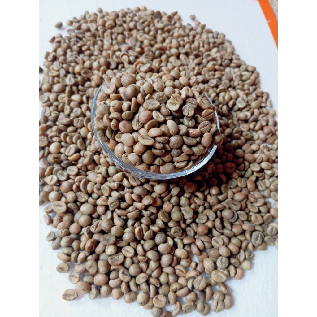 

GREEN BEAN BIJI KOPI ROBUSTA LAMPUNG GRADE 1 ORIGINAL BERAT 250GR PROCESS NATURAL