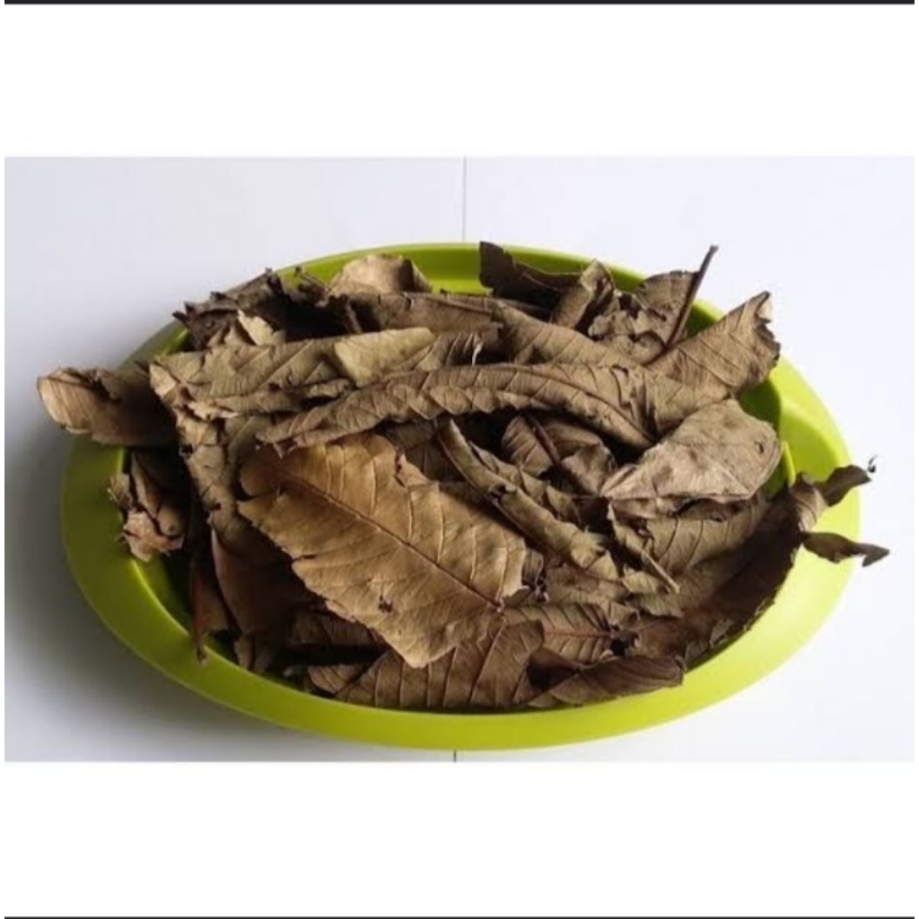 

daun jambu kering obat herbal di jamin original