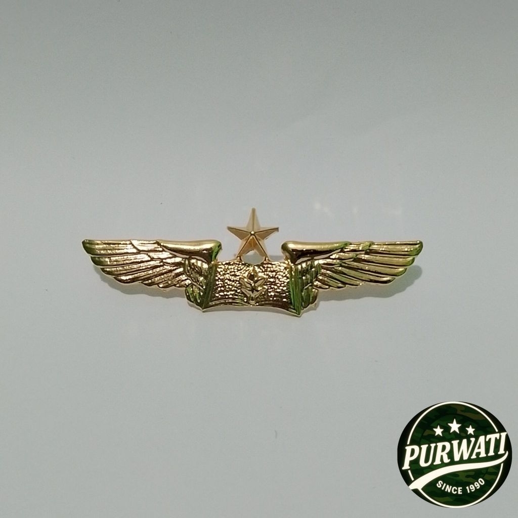 EMBLEM PDH GUMIL