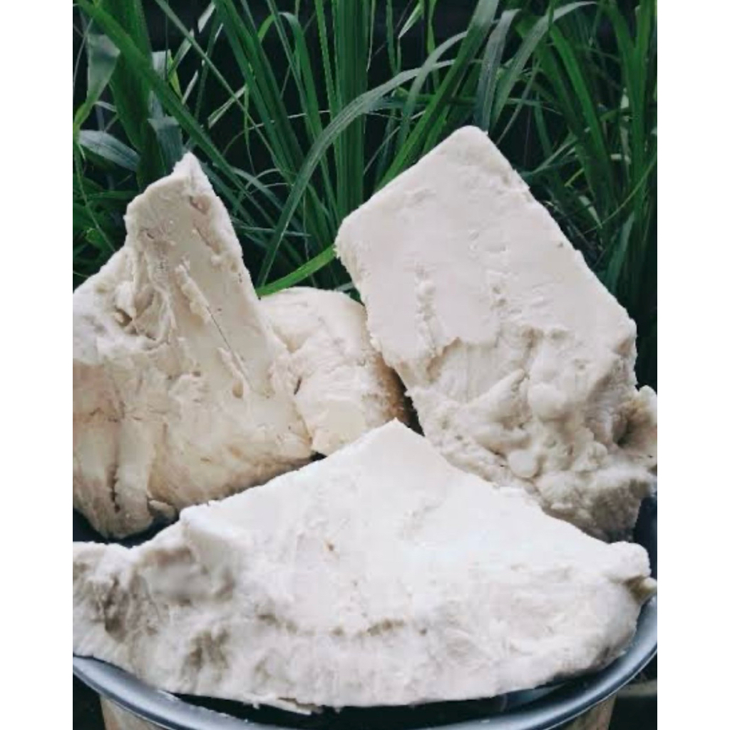 

Sagu basah papeda 100% Alami terbuat dari pohon sagu rumbia kemasan 1kg