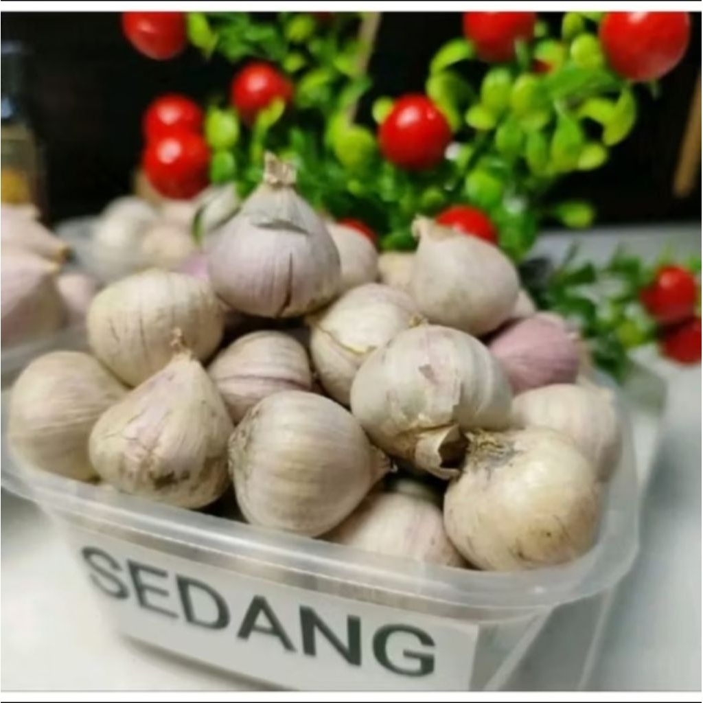 

Bawang putih tunggal sedang 250 gram