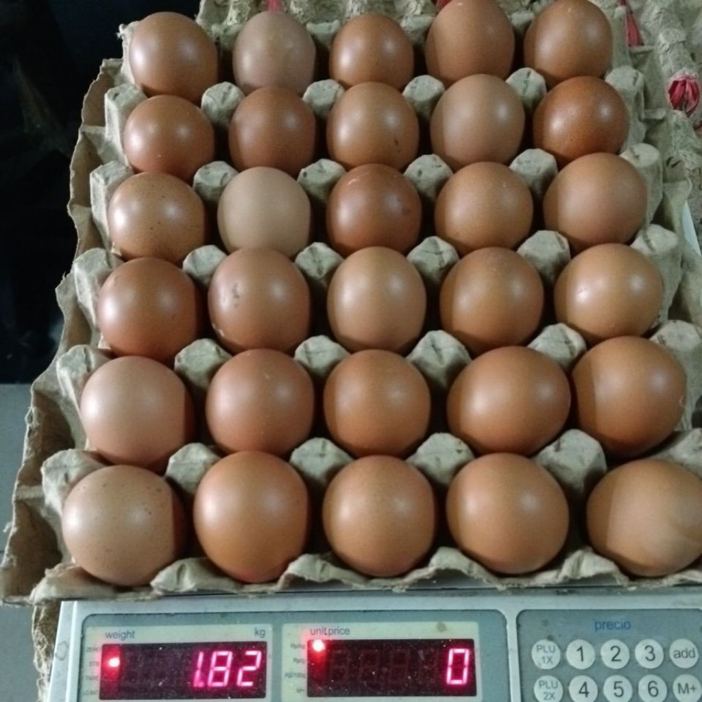 

Telur Ayam uk. grade C