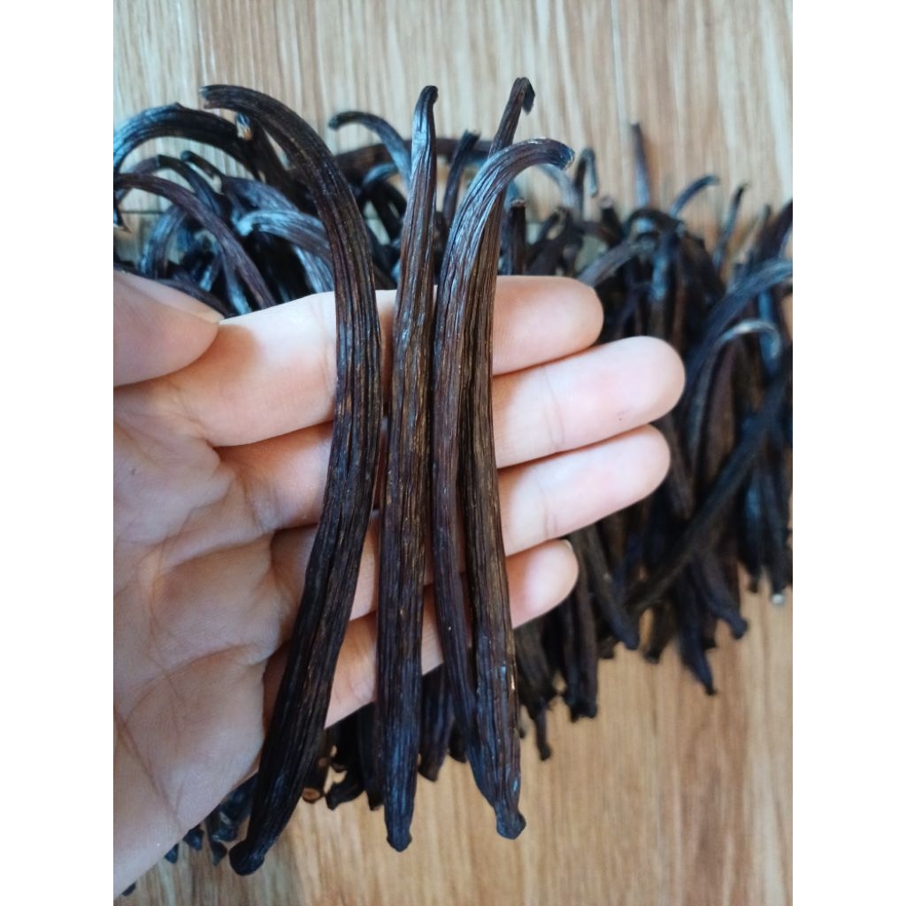 

Vanilla/Vanili kebunKu ukuran 10-12 cm 10g, 20g, 30g