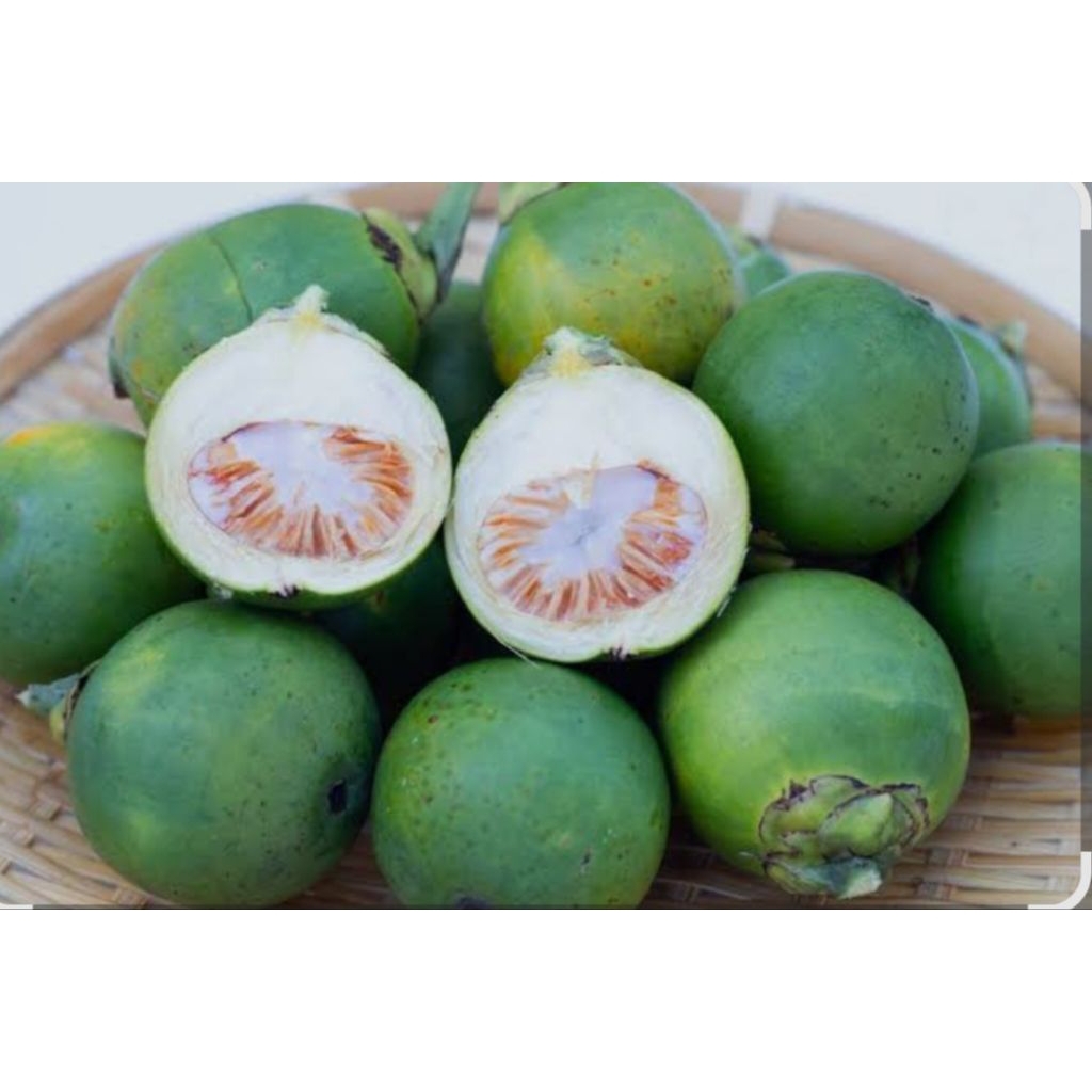 

PINANG MUDA SEGAR 500gr