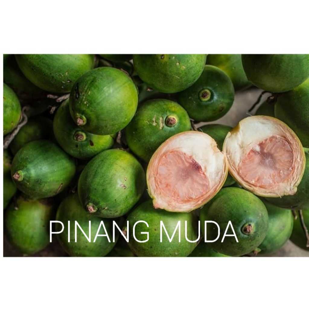 

Buah Pinang Muda