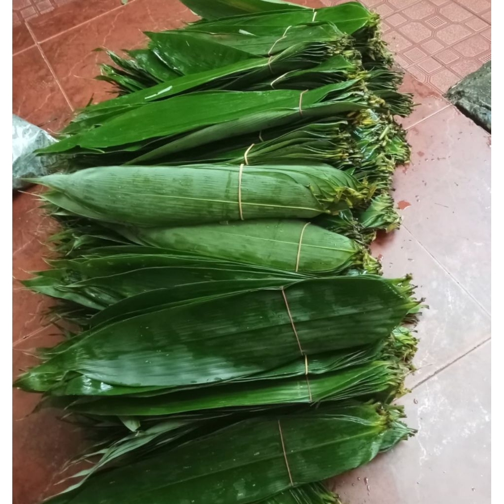 

Daun Bambu segar 50 Lembar