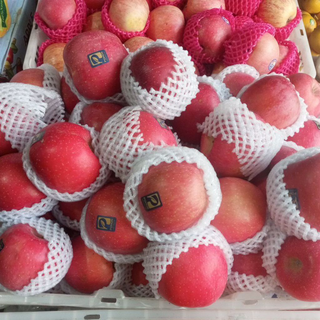 

Apel Fuji Blush 1 kg Buah Fresh Merah Manis