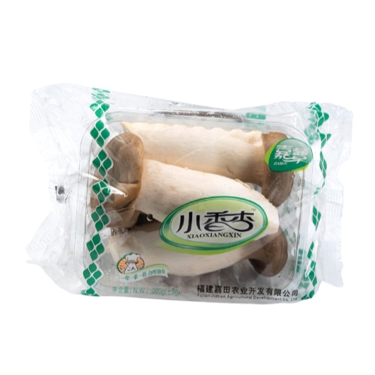 

Jamur Oyster Ecer/Oyster Ecer/Jamur Oyster Segar/Fresh Oyster/Jamur Tiram Oyster/Pack