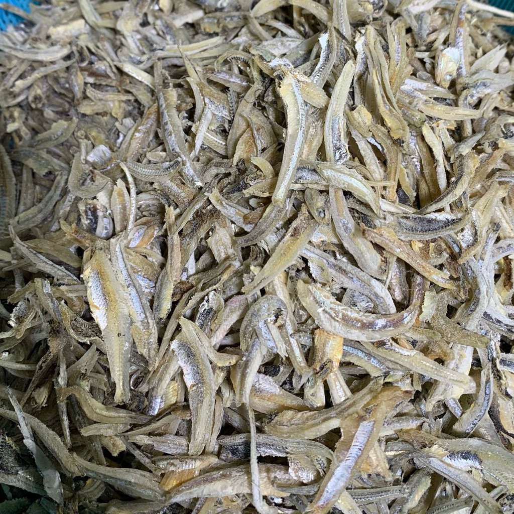 

IKAN TERI BELAH ASLI MEDAN