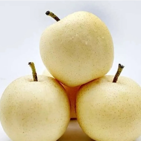 

Pear Century 60/Pear/Pir/Buah Pear Century 60/Buah Pear Century 60 Segar/Fresh Century 60 / Pear Fruit/18 Kg/Box