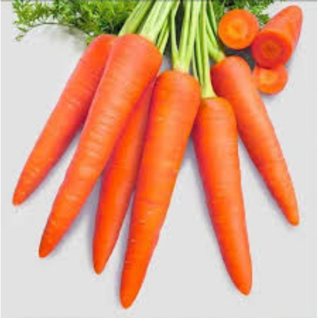 

WORTEL SUPER FRESH 500G