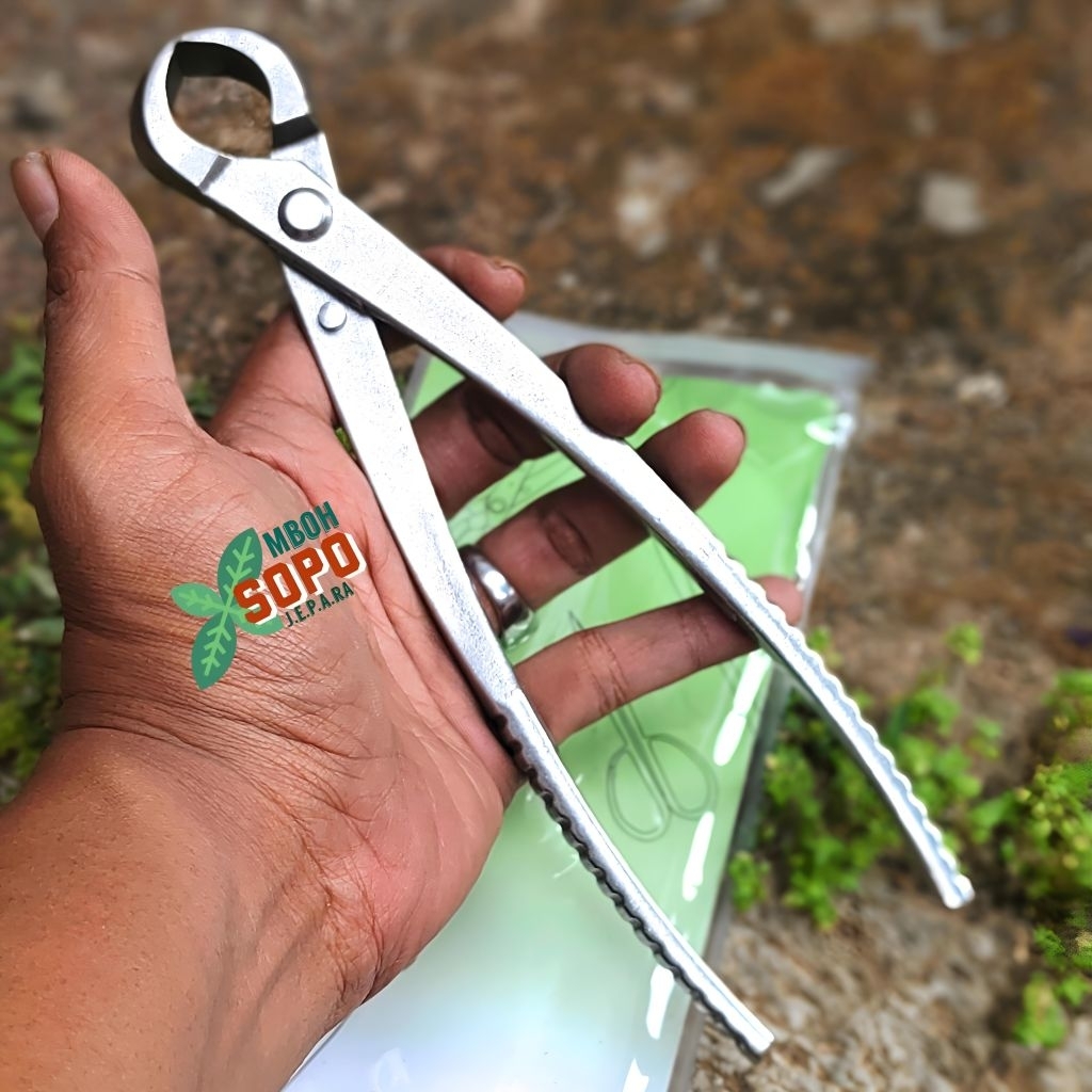 Alat Bonsai LYJ Tools, Catok Bonsai Import, Krekut Cembung Baja 420, Panjang 21 cm