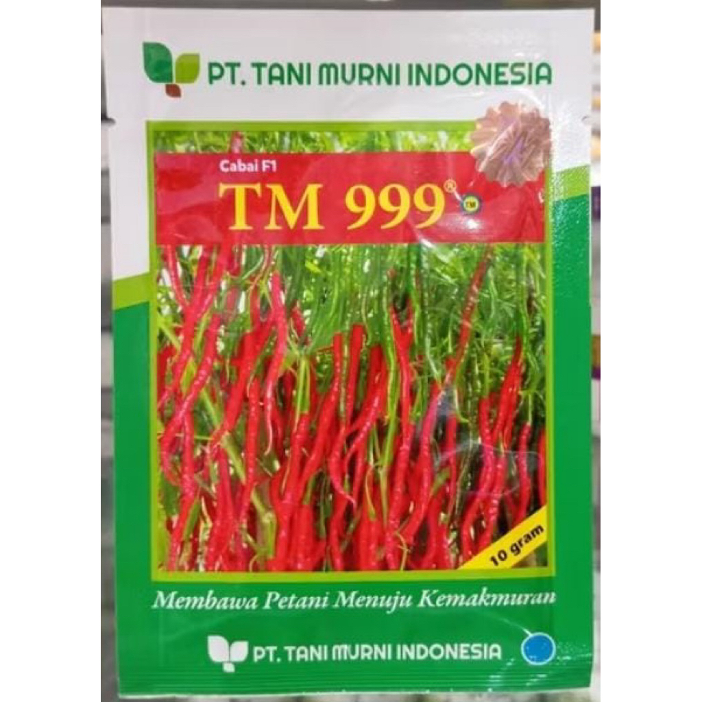 benih cabe keriting TM 999