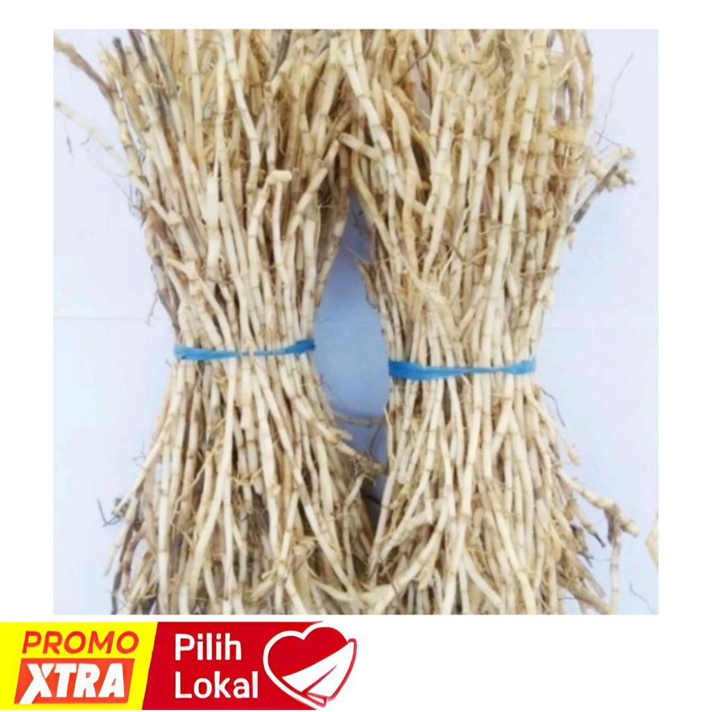 

AKAR ALANG-ALANG SUPER FRESH 500 G