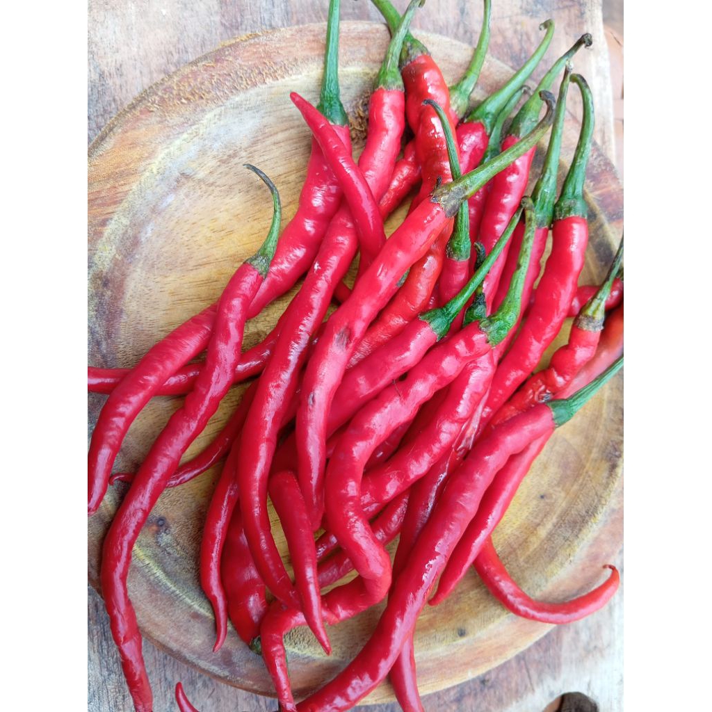 

Cabe Keriting Merah 500gr