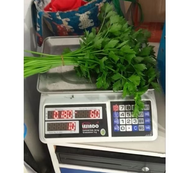 

Seledri Amigo Hidroponik – Segar, Renyah bebas pestisida