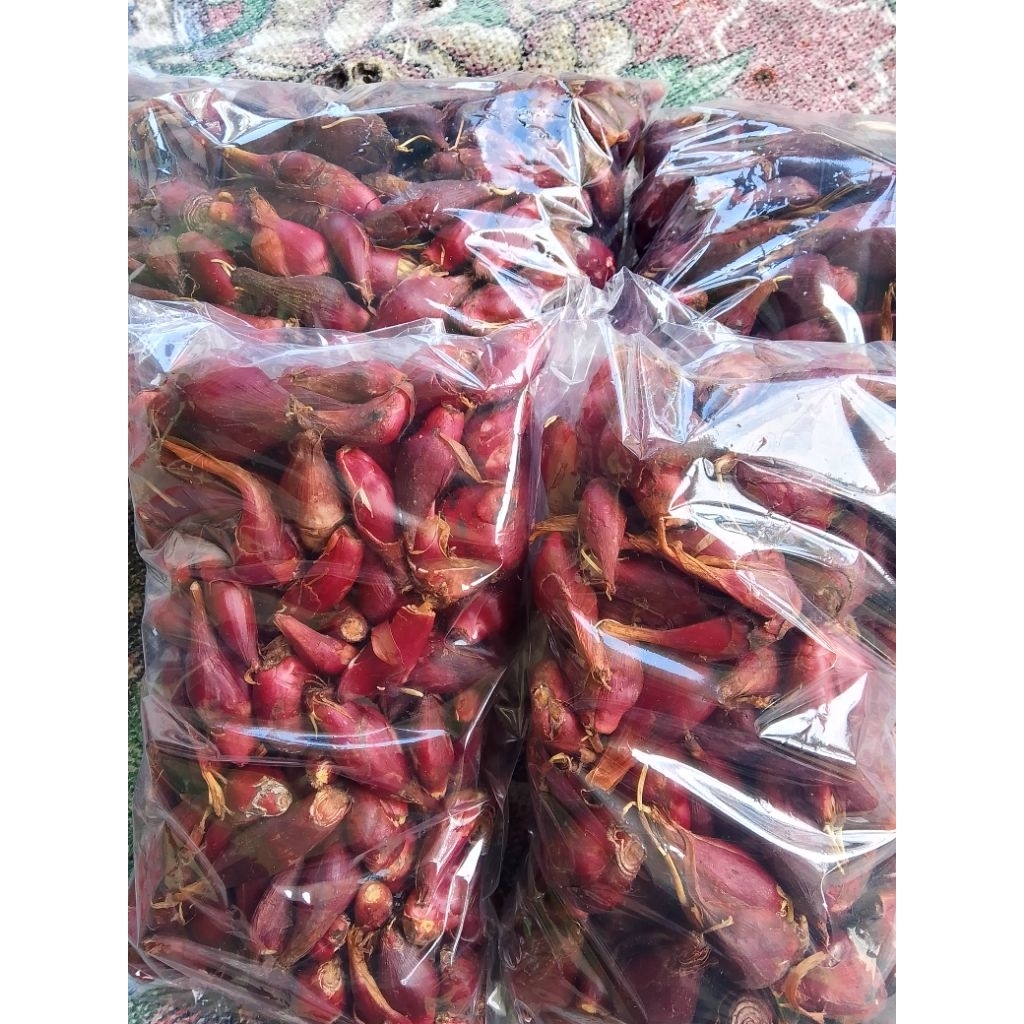 

bawang dayak atau bawang tiwai segar 1kg