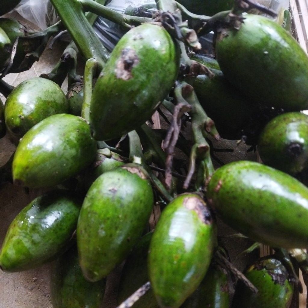 

Buah pinang muda segar 500 gram