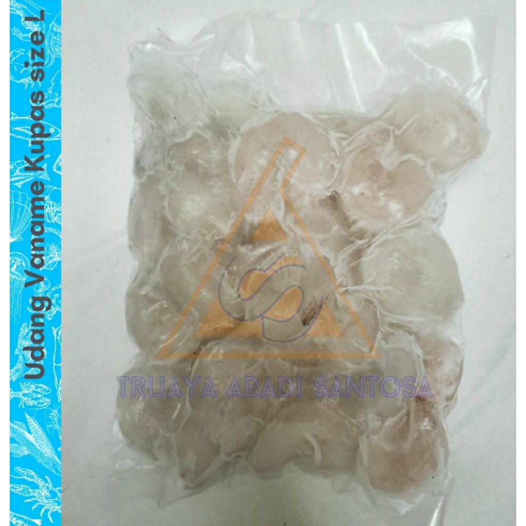 

Udang Kupas Size L 1 Kg
