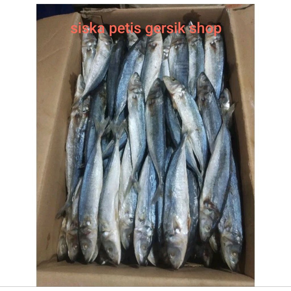 

Ikan Asin Klotok/Layang/Peda