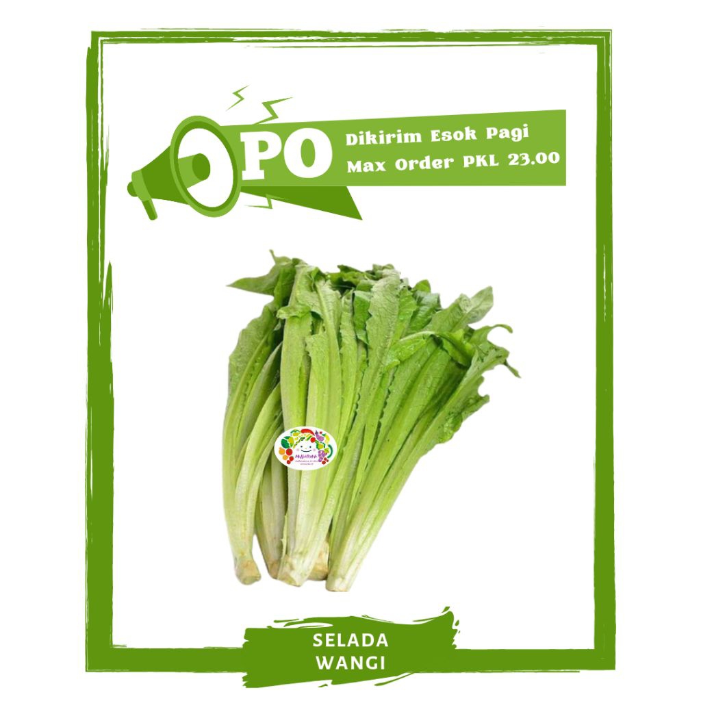 

Selada Wangi / Siomak / Sayur Sayuran Segar PO Mallahrizwa