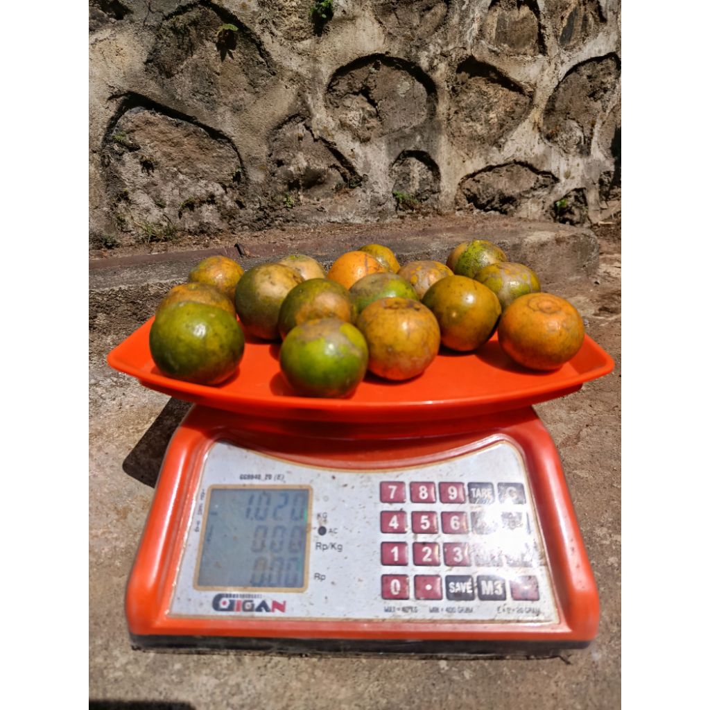 

Jeruk Keprok Siem (Jeruk kupas) 1kg