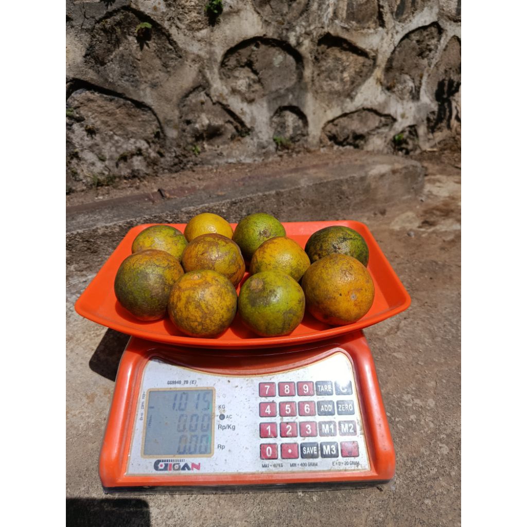 

Jeruk Iris(jeruk potong) 1kg