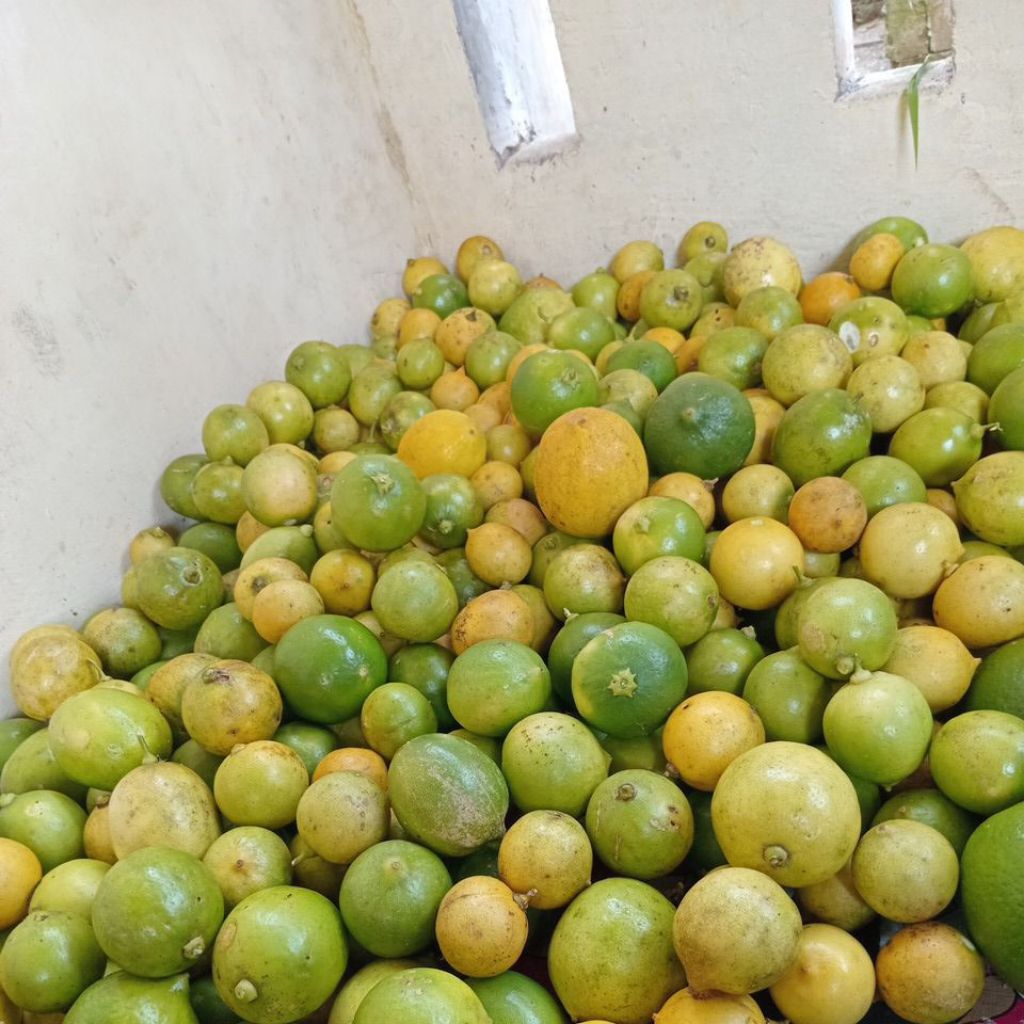 

1.kg jeruk lemon lokal kuning/hijau