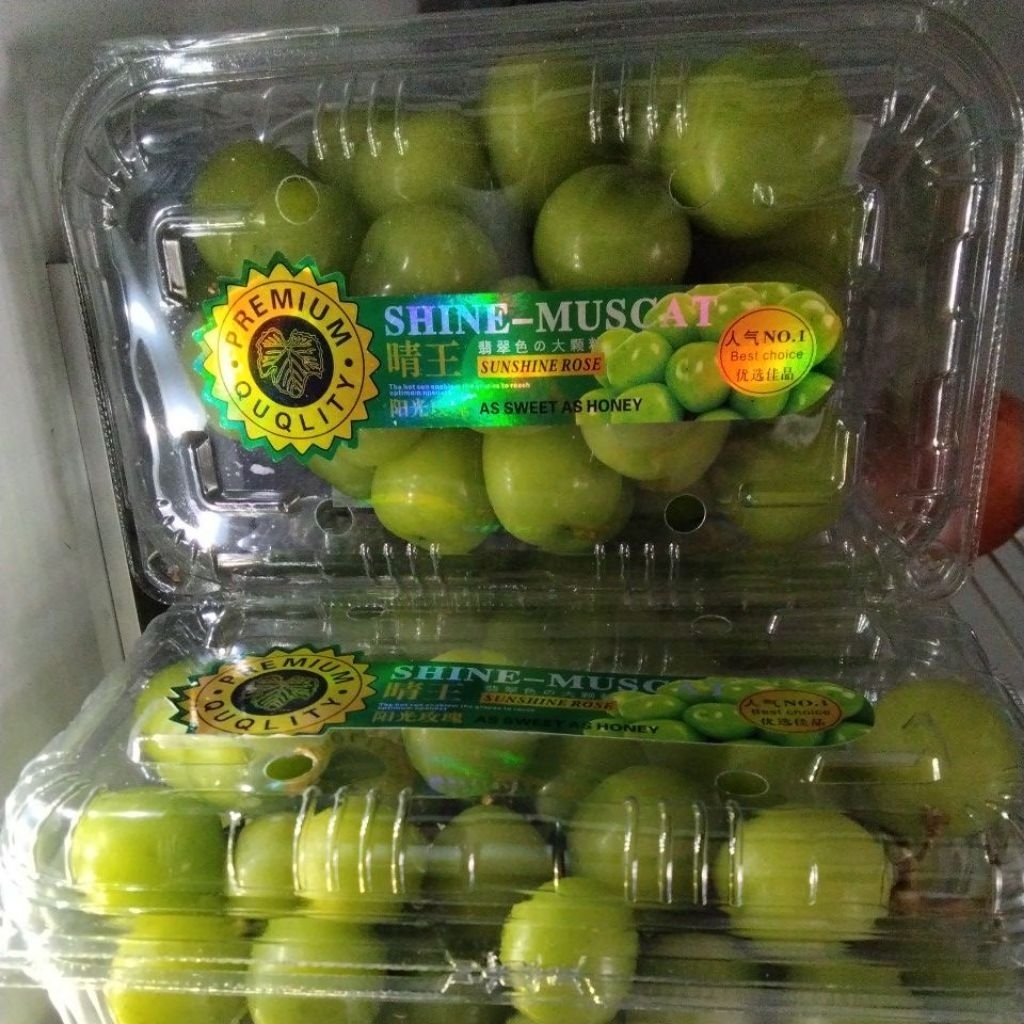 

ANGGUR TANPA BIJI Anggur Muscat Hijau Muscat Segar Manis Fresh TANPA BIJI