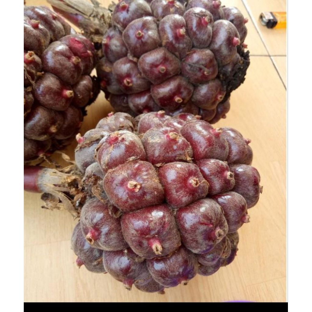 

buah honje merah beli langsung petik 500gram