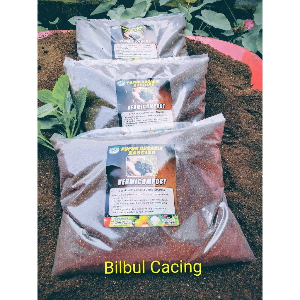 pupuk kascing supeer