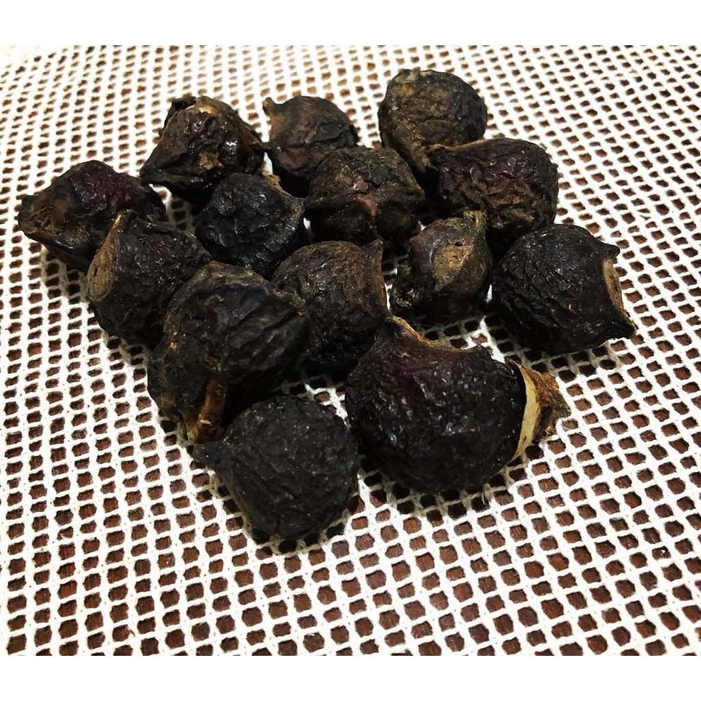Buah Lerak / Biji Lerak / Soap Nut (500gr)