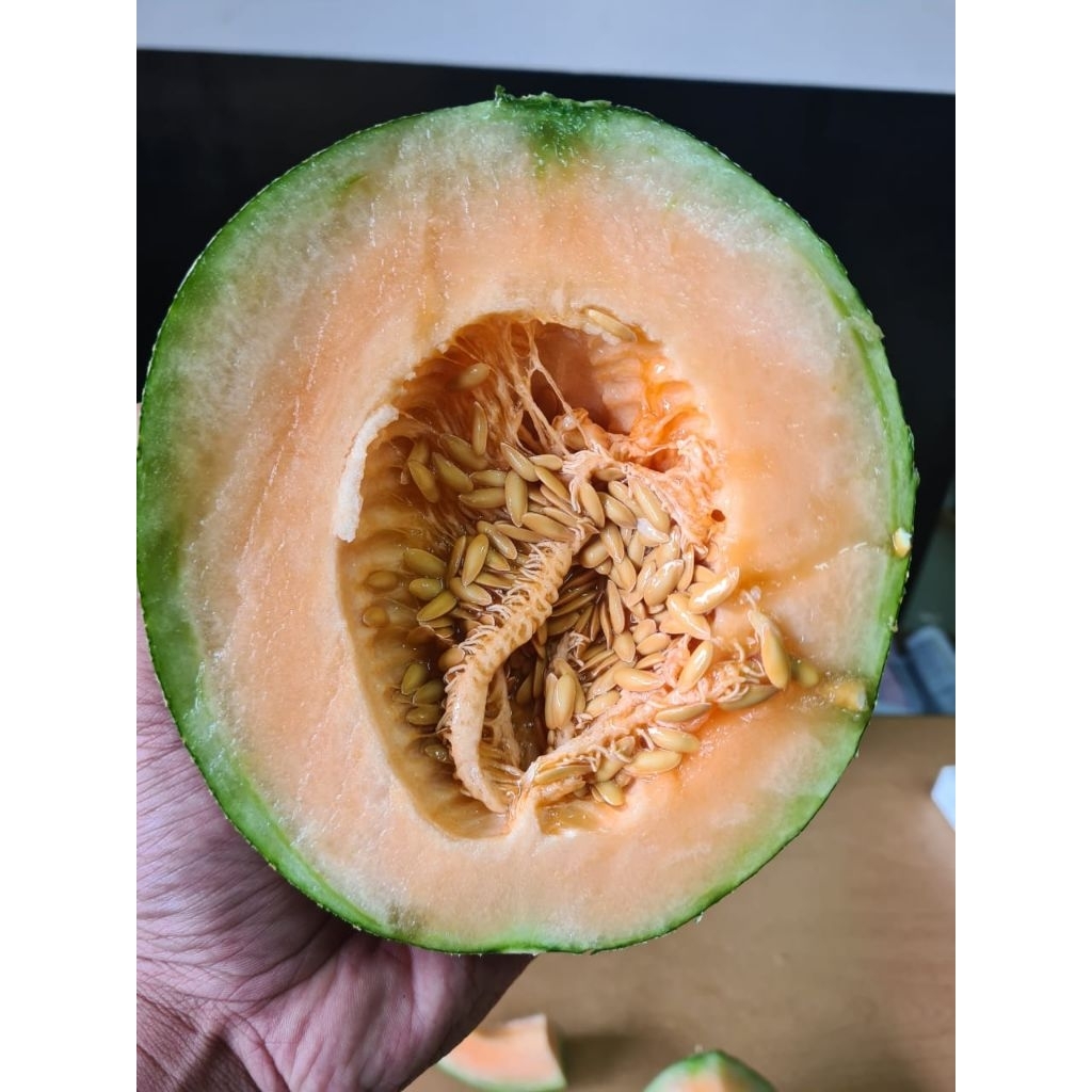 

buah melon orange lokal fresh manis per 1 buah