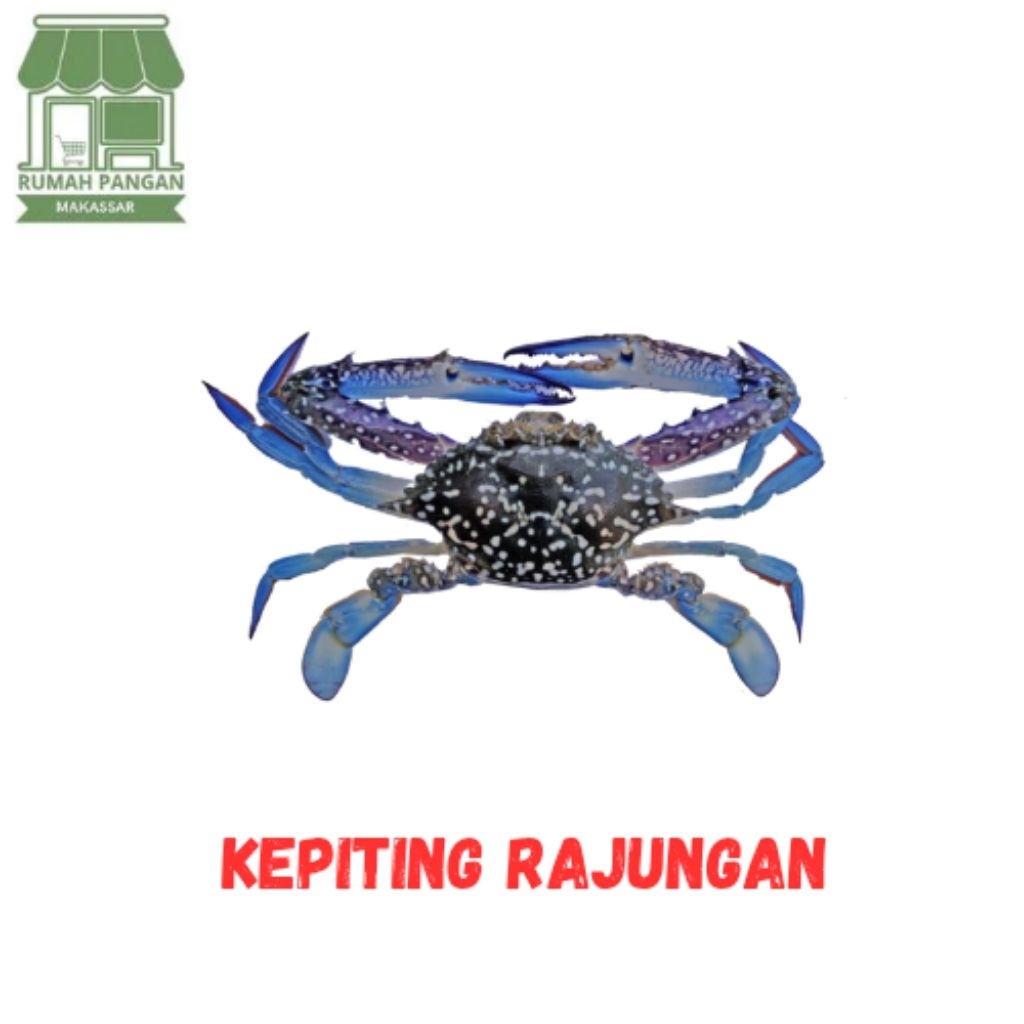 

kepiting rajungan