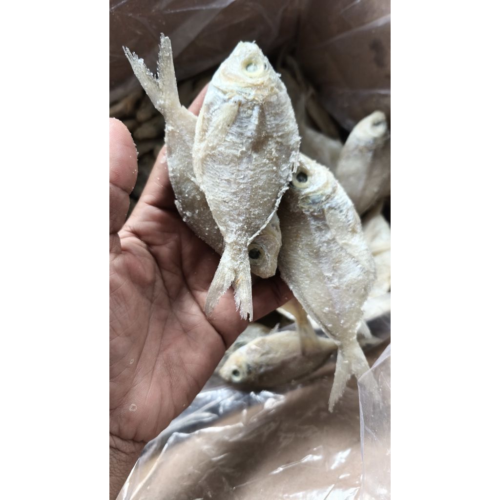 

ikan asin kapasan /Semeru