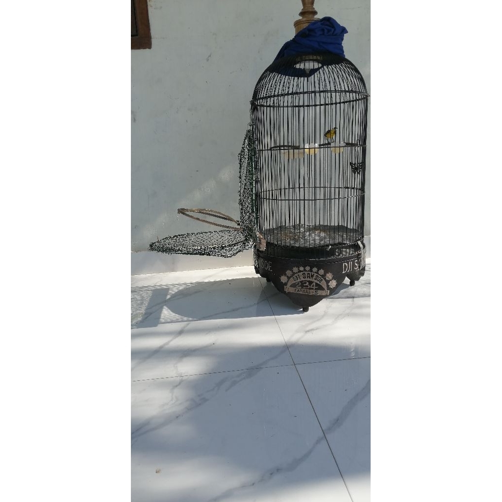 jebakan burung kecil, jebakan perjak, pleci, sogok ontong, kolibri, ciblek, pleci