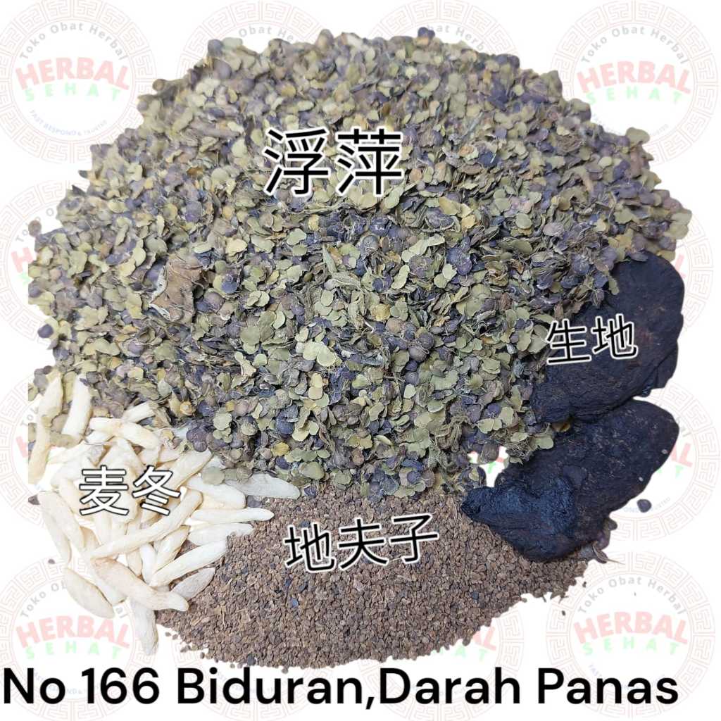 Ramuan mengobati Biduran,Darah Panas,Bentol Mentol Merah,Gatal,Alergi