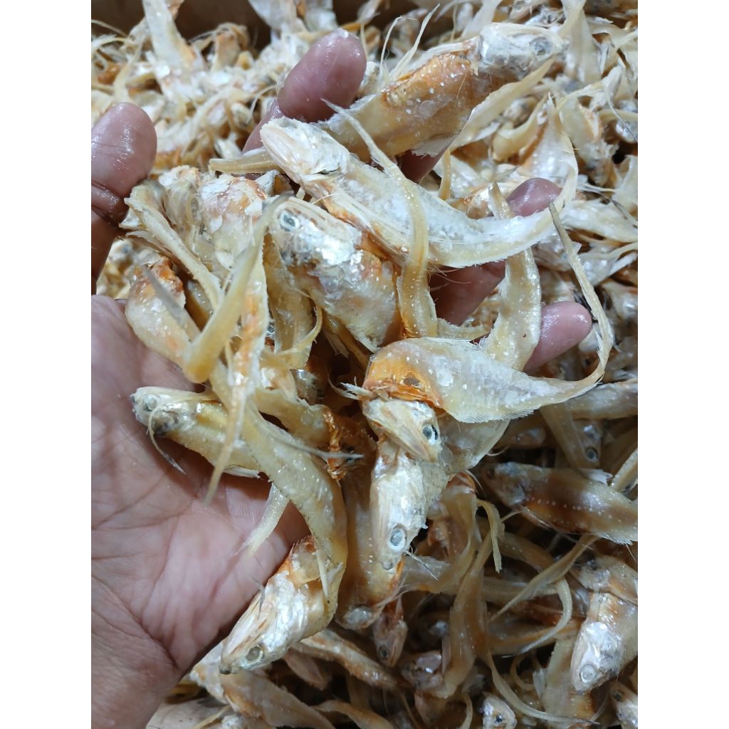 

IKAN ASIN BULU AYAM 500GRAM